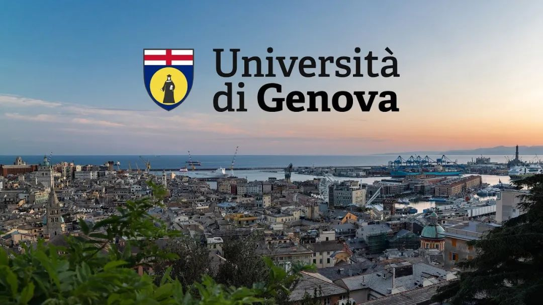 意大利综合类大学
