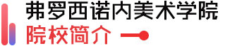都灵美术学院简介
