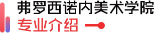 弗罗西诺内美院招生专业