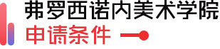弗罗西诺内美院申请条件