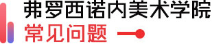 都灵美术学院学习计划及流程